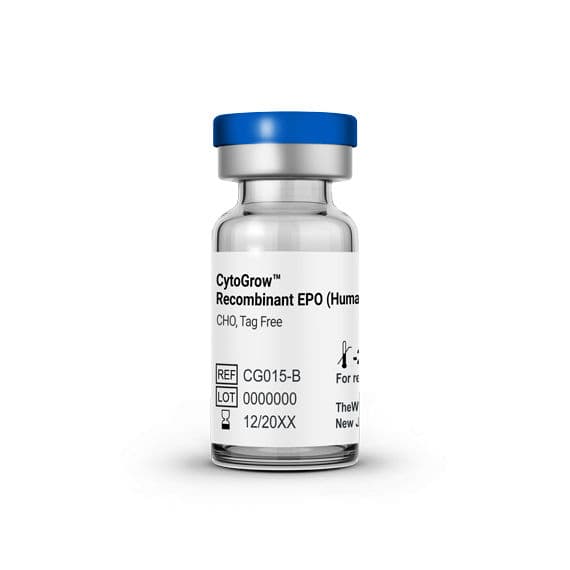 EPO (Erythropoietin)